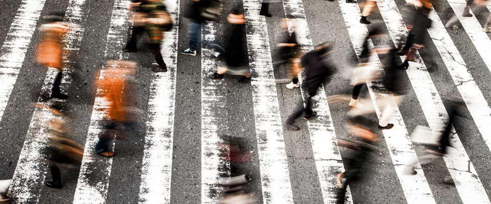 people on zebra crossing